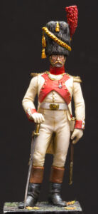 Read more about the article Dutch grenadier officer of the guard